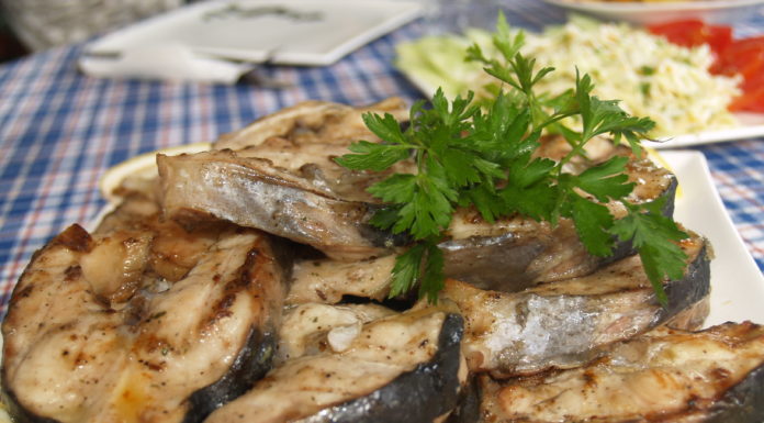 Осетрова ферма Закарпаття