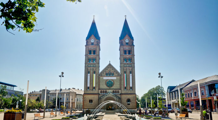 ніредьгаза