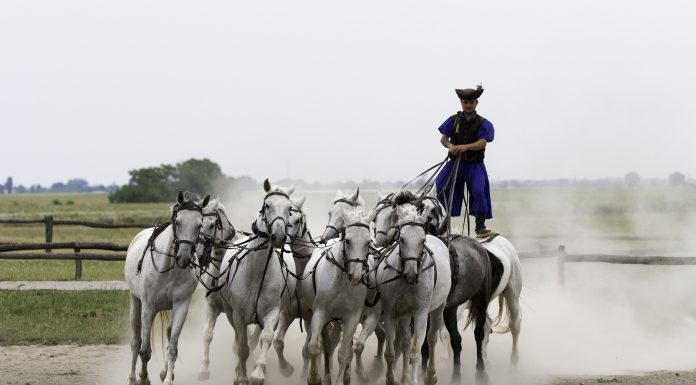 Інфографіка Угорщина