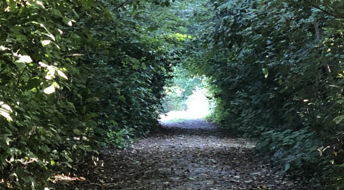 тунель кохання